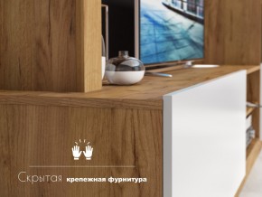 Гостиная Флекс в Верхнеуральске - verhneuralsk.mebel74.com | фото 4