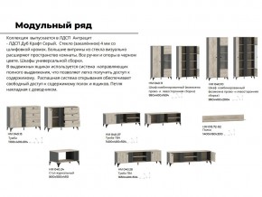 Гостиная Отис Дуб Крафт Серый/Антрацит в Верхнеуральске - verhneuralsk.mebel74.com | фото 5