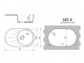 Кухонная мойка MS-5 в Верхнеуральске - verhneuralsk.mebel74.com | фото 2