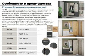 Прихожая Санти Антрацит в Верхнеуральске - verhneuralsk.mebel74.com | фото 5